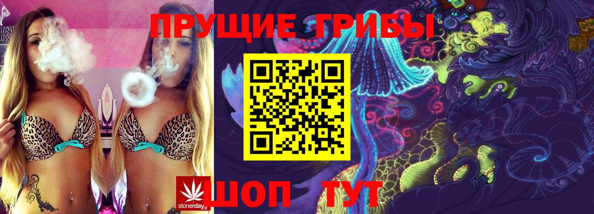 Карачаевск  Псилоцибиновые грибы Psilocybine cubensis  Вход с VPN 