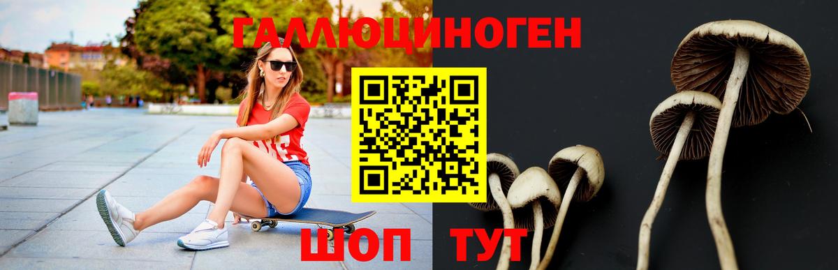 Псилоцибиновые грибы мухоморы Карачаевск